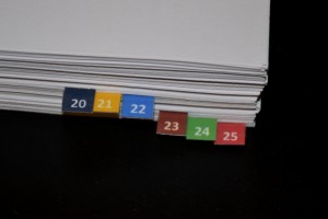 NIW package - other evidence tabs